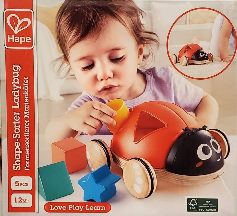 Hape ladybug hot sale